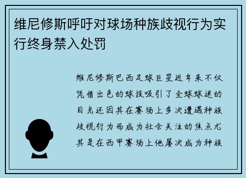 维尼修斯呼吁对球场种族歧视行为实行终身禁入处罚